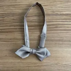 Item thumbnail for item 90c9e2f1-9096-400f-b01d-62ceef26c329