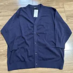 Item thumbnail for item 8b646e03-3fb3-4b5a-a88a-701a521ef628