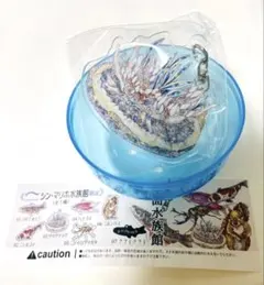 シンマリホ水族館　平面水族館　サカサクラゲ