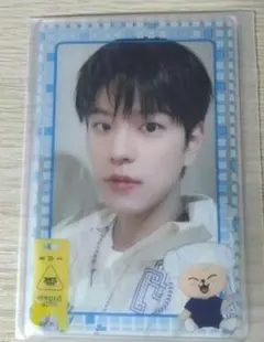 4/29まで値下げ　StrayKidsオンラインくじフォトカードスリーブセット