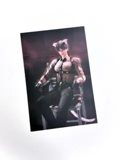 専用ページ確認用　厚紙ポストカード　838