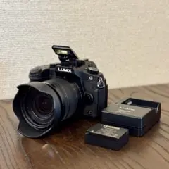 2026年最新】LUMIX DMC-G8の人気アイテム - メルカリ