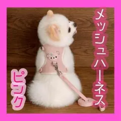 Item thumbnail for item 977d237d-ca6b-4618-8f1b-8a481aa89f67