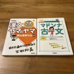 漢文ヤマのヤマ & マドンナ古文 2冊セット
