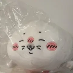 【9月初週まで】アザラシぬいぐるみくじ　A賞　B賞　ナガノ 9月初週まで】アザラシぬいぐるみくじ A賞 B賞 ナガノ ナガノの