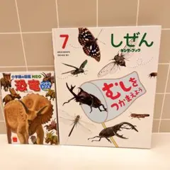 絵本　図鑑　本　２冊　子供　児童