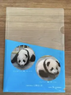 2025年最新】シャオシャオ レイレイ クリアファイルの人気アイテム