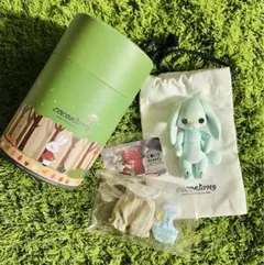 cocoriang groomy mint groomy