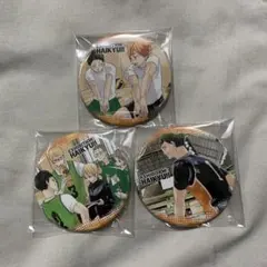 ハイキュー　コレクション缶バッジ　烏野