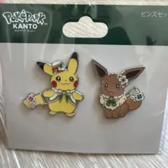 ✨新品✨ ポケパーク カントー ピカチュウ イーブイ ピンズセット