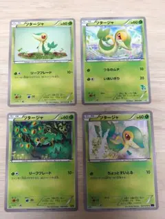 ポケモンカード イラスト集め ツタージャ