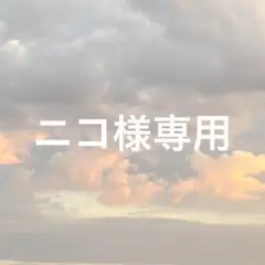 名探偵コナン　キャラクリアフォト　赤井秀一FBI