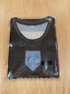 【新品】福井ブローウィンズ来場者プレゼント　バスケシャツ