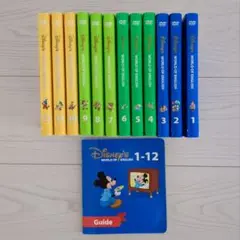 ディズニーワールドファミリーイングリッシュストレートプレイ