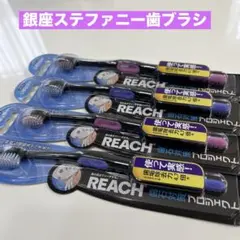 REACH 歯石除去歯ブラシ　歯垢除去歯ブラシ　レギュラー　歯ブラシ 4本セットのサムネイル