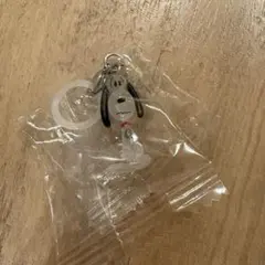 PEANUTS FUNNY ver. めじるしアクセサリー スヌーピーA