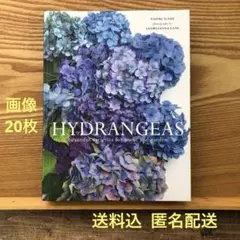 Hydrangeas: 紫陽花のとても美しい洋書・送料込・匿名配送