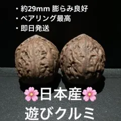 2026年最新】文玩核桃の人気アイテム - メルカリ