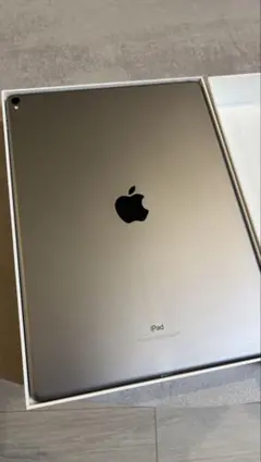 iPad Pro 12.9 第2世代 256GB Wi-Fi スペースグレイ