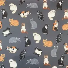 ナインチェ★様 リクエスト 3点 まとめ商品