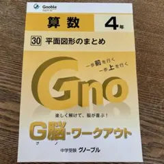 グノーブル　グノワークアウト5年生 ★全30冊★ Gnoworkout_5yr_11-15.jpg