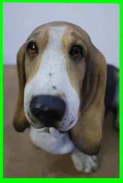 "飼い主さん"募集中【犬】置物　バセットハウンド】　約50㎝