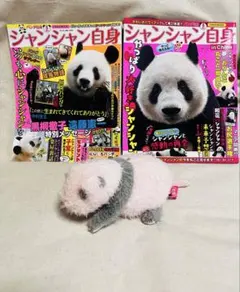 ほんとの大きさパンダの仔　4こセット 2026年最新】ほんとの大きさパンダの仔の人気アイテム - メルカリ