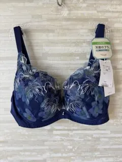 D80」トリンプ 天使のブラ(R) 魔法のハリ感580 ノンワイヤーブラジャー