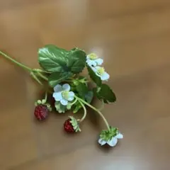 2025年最新】王 由由 twiceの人気アイテム - メルカリ