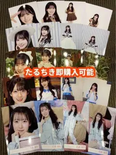 向井純葉 櫻坂46 Lonesome rabbit マリン 生写真 24種コンプ - メルカリ