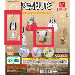 PEANUTS めじるしアクセサリーFUNNYver.【スヌーピーA D】
