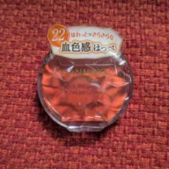 CANMAKE クリームチーク 22