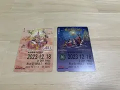 ディズニー リゾートライン フリー切符 30周年1枚【※使用済み】 - メルカリ