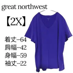 美品✨great northwest【2X】Vネック半袖シャツ パープルシンプル