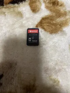 SKYRIM Nintendo Switch ソフト　英語版