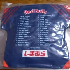 RB大宮アルディージャ　2025プレーヤーズクッション　全選手　未開封新品●