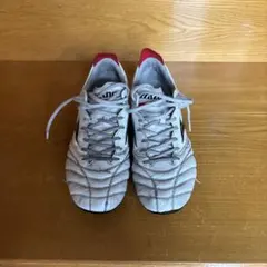 ミズノ モレリアネオ4