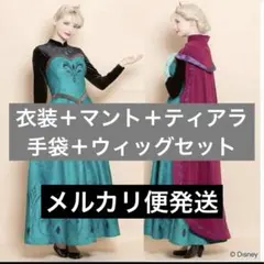 シークレットハニー　エルサ　フルセット　Dハロ　ウィッグ　仮装 アナと雪の女王のサムネイル