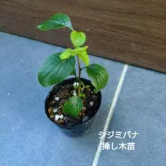 satoko様 リクエスト 2点 まとめ商品