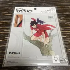 ハイキュー　黒尾鉄朗