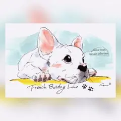 イラスト作品(線のみプリント＋手彩色) 【フレンチブルドッグ】519