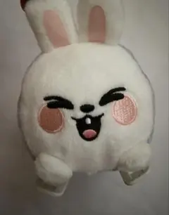 リービット Leebit ぬいぐるみ もちころりんskzoo straykids - メルカリ