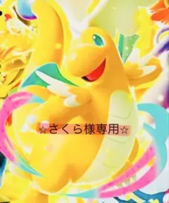 ★さくら様専用です★