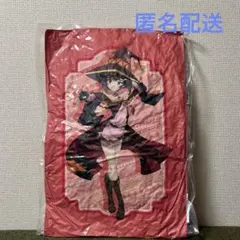 Item thumbnail for item 780144f1-6902-43de-baef-313a2381245d