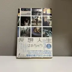 【超美品】　仮想人生　はあちゅう