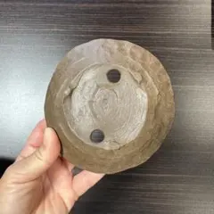230陶片 南宋 青磁 結構大きい - メルカリ
