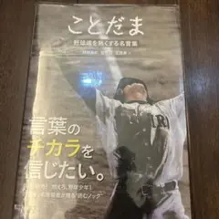 Item thumbnail for item 3960e63b-7063-4303-9c68-d235f9338ddc