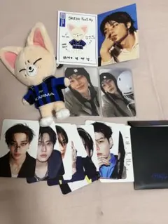 straykids karma アイエン I.N skzoo フォクシニー