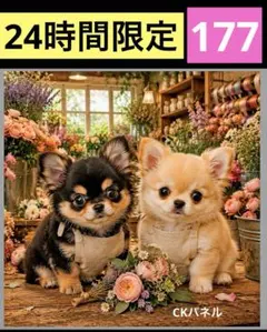 新柄♥️24時間限定！レアパネル生地　6柄　6犬種パネル生地　CKパネル
