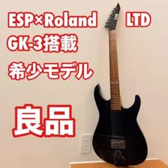 2026年最新】Roland VG-99の人気アイテム - メルカリ